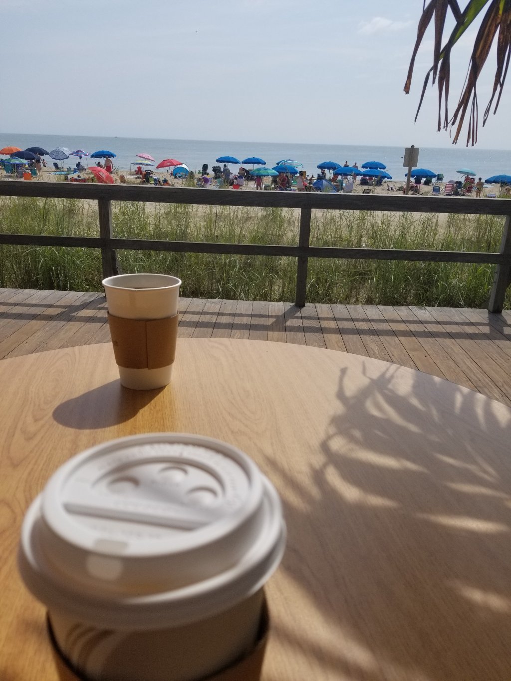 Turtle Beach Cafe